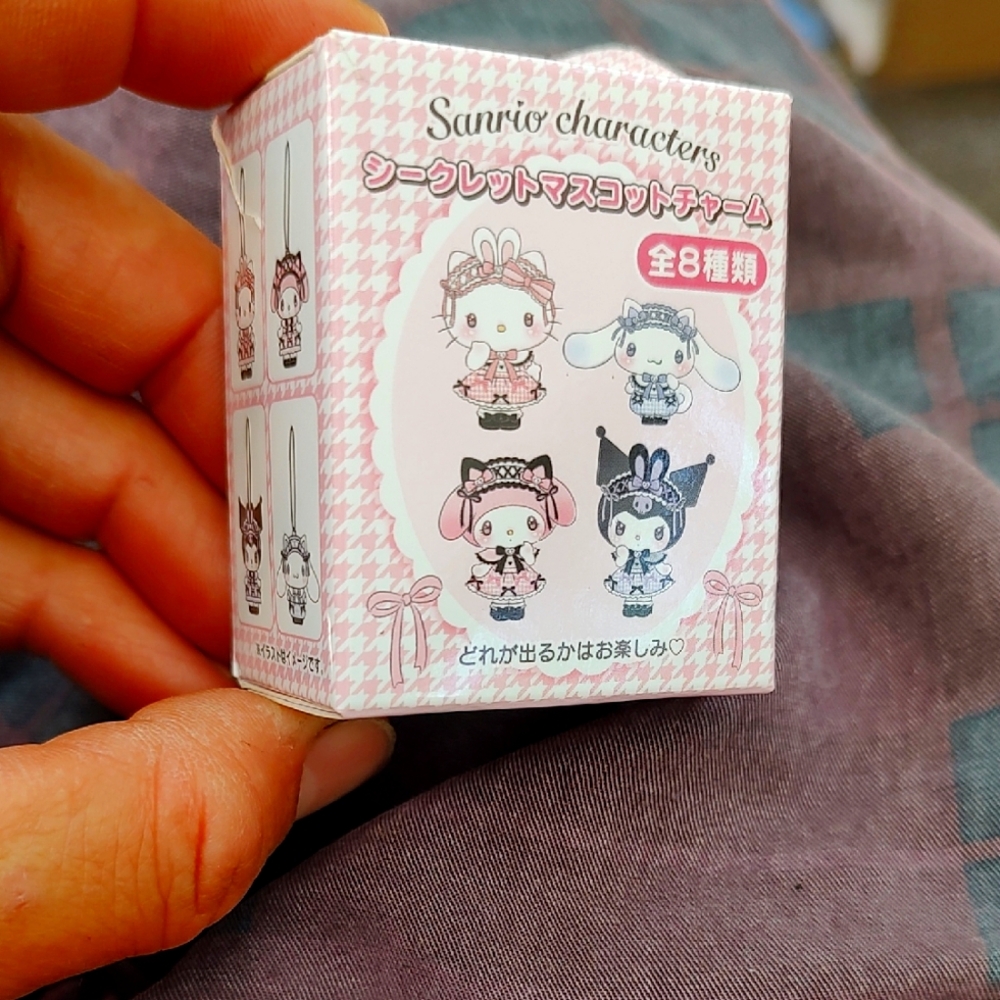 Sanrio Characters Mystery Surprise Mascot Charm - Revealed!!